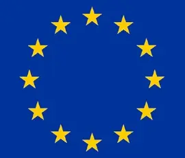 Proiect UE